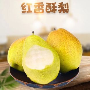 正宗红香酥梨新鲜水果当季新疆香梨现摘皮薄脆甜梨子5斤整箱包邮