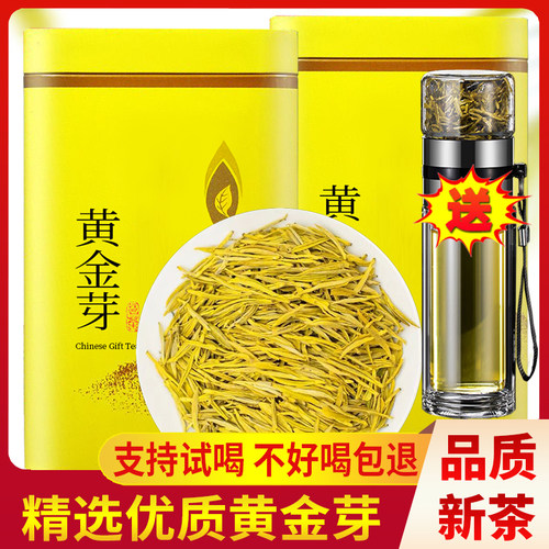 送水杯黄金芽2026新茶特级浓香型