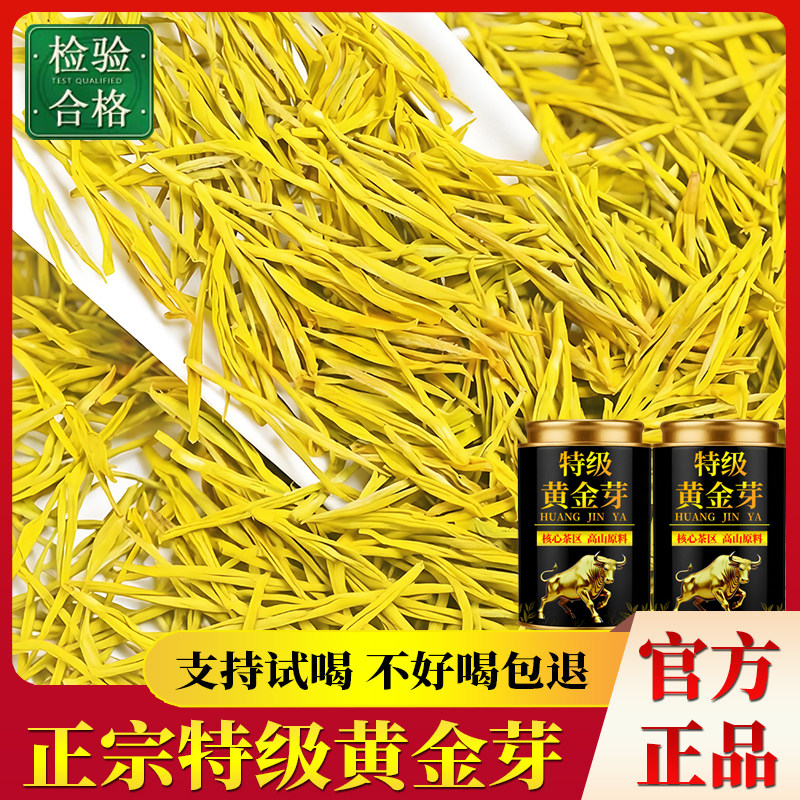 [支持试喝]特级黄金芽绿茶2026新茶叶正宗浓香型耐泡批发