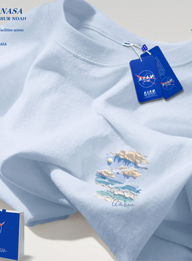 NASA短袖男夏季纯棉浅蓝色t恤男生2025新款美式高街油画情侣体恤