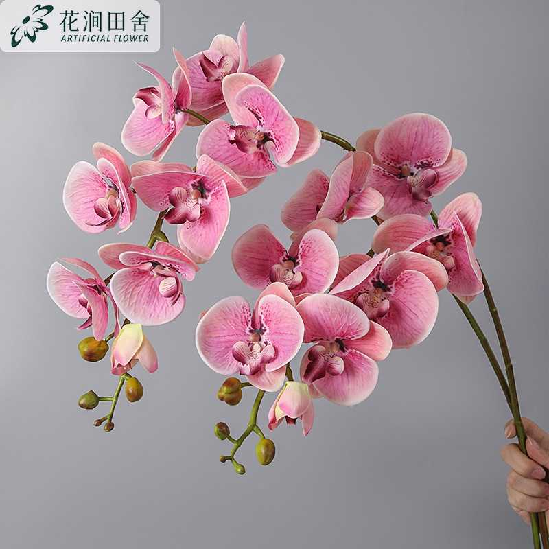 新款直销仿真花手感保湿蝴蝶兰  手感大兰花 摄影摆件家居装饰假