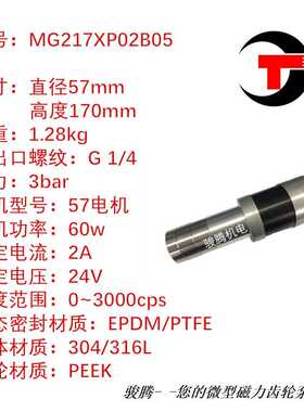 新款直销MG217XP02B05水泵磁力齿轮泵计量泵0泄露耐酸碱腐不锈钢