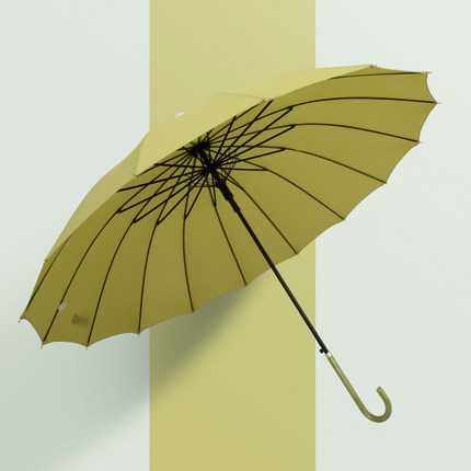 新款直销雨伞自动简约长柄伞16骨防水套直杆雨伞清新直柄广告伞印,居家日用,伞,淘宝优惠券,粉丝福利购,淘宝优惠卷
