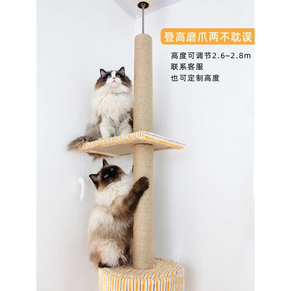 新款直销顶天立地猫爬架通天柱猫架木质 猫窝猫树一体麻绳猫抓柱,宠物/宠物食品及用品,猫爬架,淘宝优惠券,粉丝福利购,淘宝优惠卷