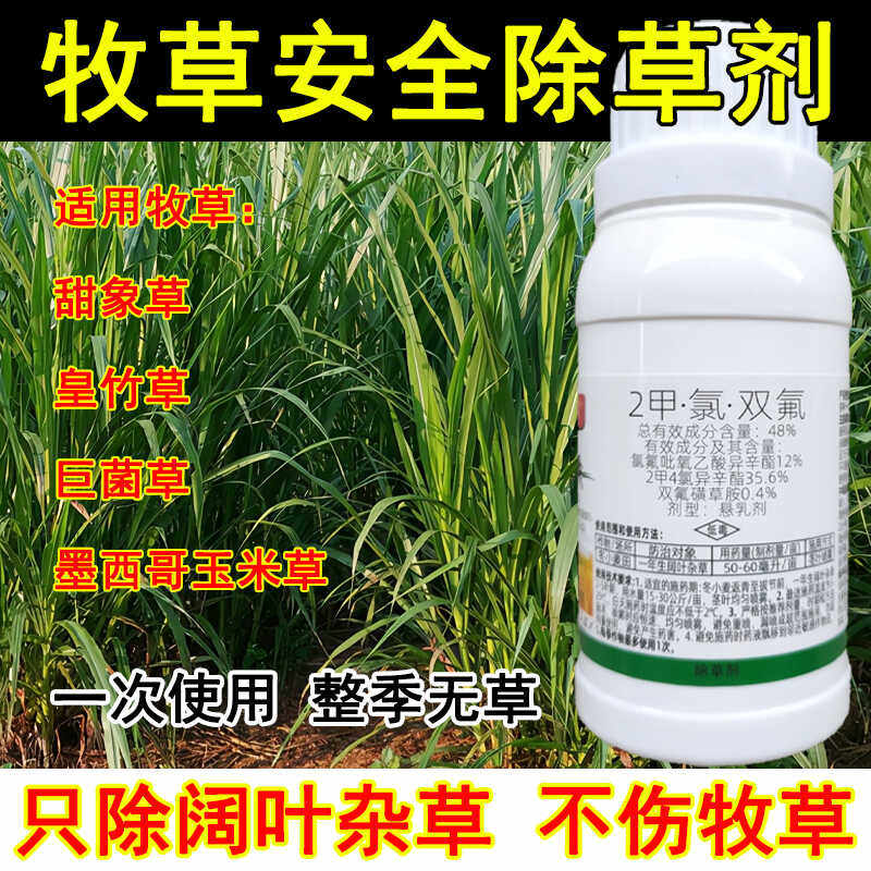 牧草除草剂皇竹草甜象草黑麦草牧草田地除草剂巨菌草墨西哥玉米草