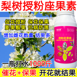 梨树授粉座果精梨树授粉药沾花素保花保果强制座果肥料防落果正品