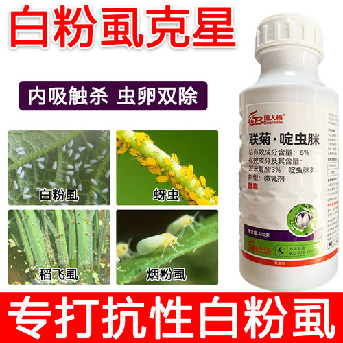 白粉虱专用药杀虫杀卵飞虱木虱蚜虫蓟马杀虫剂花瓜果树蔬菜除虫
