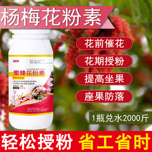 杨梅授粉座果精催花座果灵杨梅授粉素杨梅专用催花坐果保花保果素