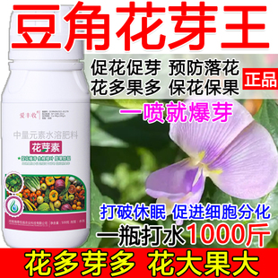 豆角促花催芽豆角花芽促长素催花保果叶面肥保花保果催花强制座果