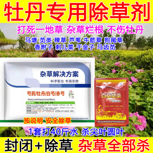 牡丹专用除草剂牡丹除草剂禾阔双除牡丹苗后除草剂烂根狗尾草马塘