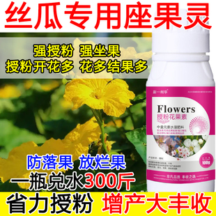 丝瓜授粉花果精丝瓜授粉药沾花素保花保果强制座果肥料防落果正品