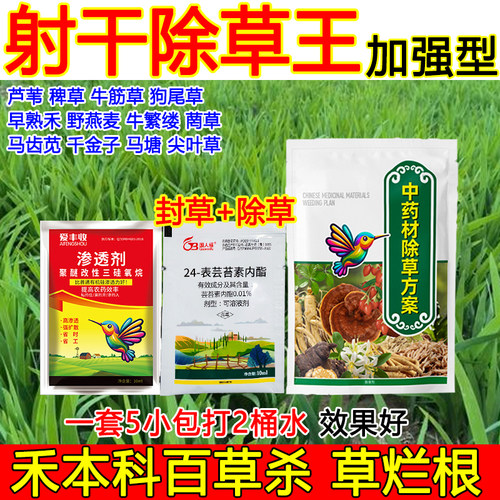 射干除草剂射干田除草剂杂草烂根不伤药材狗尾草牛筋草烂根除草剂