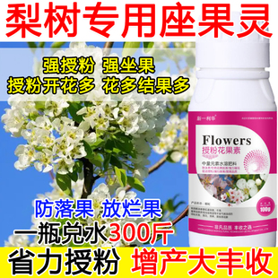 梨树授粉花果精梨树授粉药沾花素保花保果强制座果肥料防落果正品