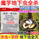 魔芋地下虫杀虫剂魔芋地下害虫专用药联苯噻虫胺批发地下害虫颗粒