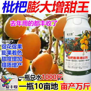 枇杷膨大增甜剂枇杷专用叶面肥保花保果增甜膨大抗病逆增产肥料
