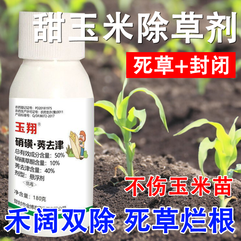 50%硝磺草酮莠去津甜玉米除草剂甜玉米田专用除草剂安全型不伤苗