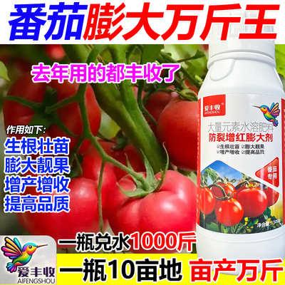 番茄叶面肥番茄专用肥料增产肥料生根壮苗猛长壮根抗病虫抗倒伏肥