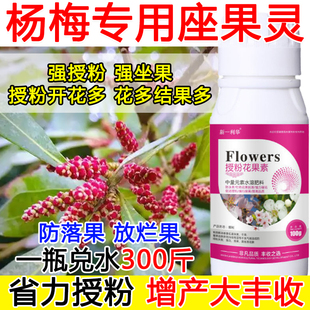 杨梅授粉花果精杨梅授粉药沾花素保花保果强制座果肥料防落果正品