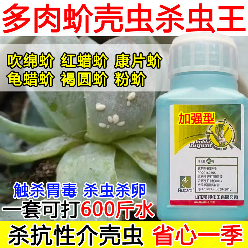多肉蚧壳虫杀虫剂多肉介壳虫专用药吡虫噻嗪酮农药蚧壳虫杀虫剂,农用物资,杀虫剂,淘宝优惠券,粉丝福利购,淘宝优惠卷