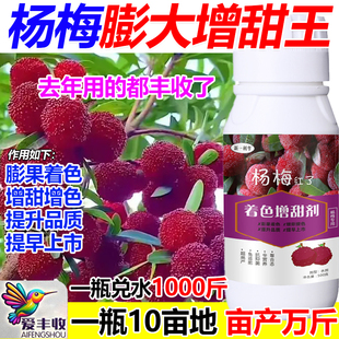 杨梅膨大增甜剂杨梅专用叶面肥保花保果增甜膨大抗病逆增产肥料