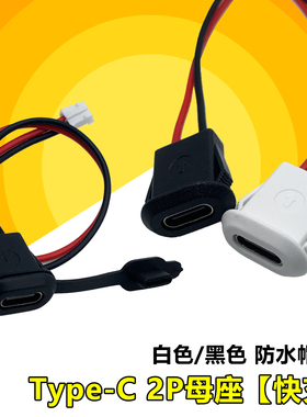 Type-C 2P母座防水帽白色/黑色 typec正反插快充接口 usb3.1母座