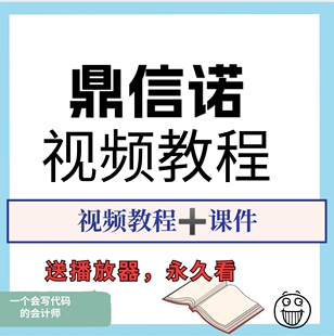 鼎信诺视频教程审计软件使用系统化教程鼎信诺课程有效