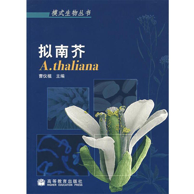 正版包邮拟南芥曹仪植　主编高等教育出版社9787040145892