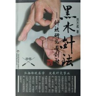 正版包邮黑水针法--针法研究与创新刘万成 著山东科学技术出版社9787533148140