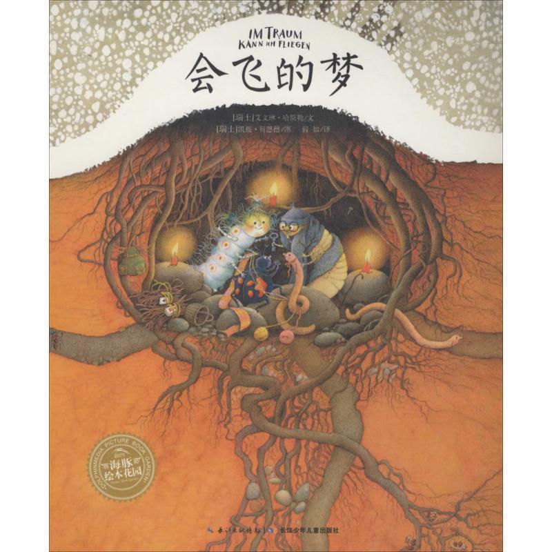 正版包邮会飞的梦[瑞士] 艾文琳·哈斯勒 著,凯提贝恩德 绘,假如 译长江少年儿童出版社9787556028450