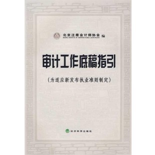 正版包邮审计工作底稿指引北京注册会计师协会 编经济科学出版社9787505859821