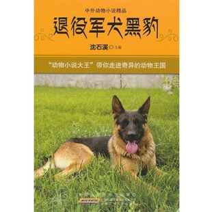 正版包邮中外动物小说精品:退役军犬黑豹沈石溪 编安徽少年儿童出版社9787539766522
