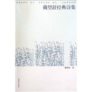 正版包邮戴望舒经典诗集戴望舒 著山东文艺出版社9787532932207