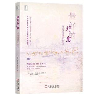 正版包邮好的疗愈：当灵魂遇见音乐[美]安德鲁舒尔曼(AndrewSchulman),金嘉欣机械工业出版社9787111643449