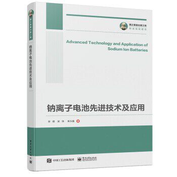 正版包邮国之重器出版工程 钠离子电池先进技术及应用谢嫚,吴锋,黄永鑫 著电子工业出版社9787121399138