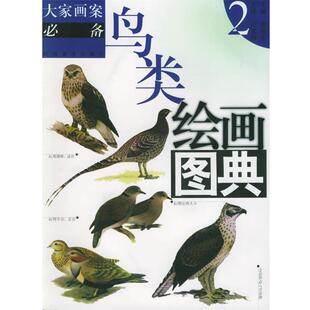 社9787540108366 鸟类绘画图典2—大家画案必备周彦生河南美术出版 正版 包邮