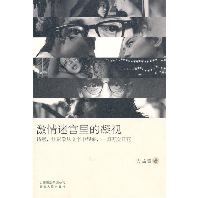 正版包邮激情迷宫里的凝视孙孟晋 著云南人民出版社9787222065659
