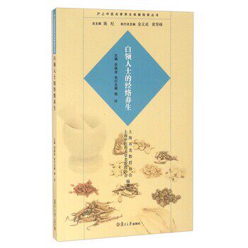 正版包邮白领人士的经络养生吴焕淦,施杞,杨玲 等 编复旦大学出版社9787309120752