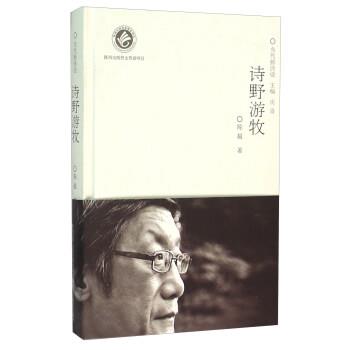 正版包邮诗野游牧陈超 著,沈奇 编陕西人民教育出版社9787545036459