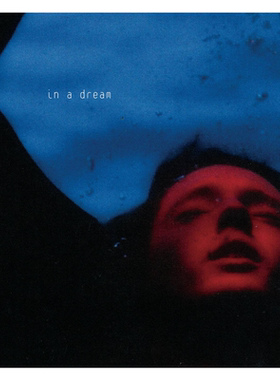 正版Troye Sivan专辑 戳爷in a dream在梦里CD+海报+写真卡特别版