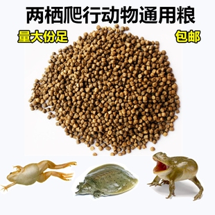 青蛙牛蛙宠物蛙粮养殖专用蝌蚪黑斑蛙虎纹蛙林蛙小丑蛙角蛙饲料