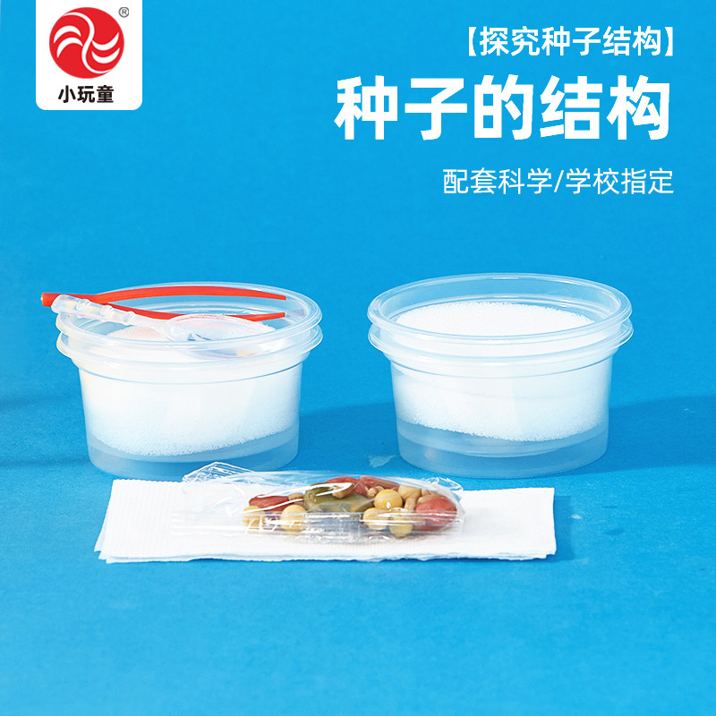 种子结构生物植物实验材料DIY制作儿童小学生好玩教具送视频教程