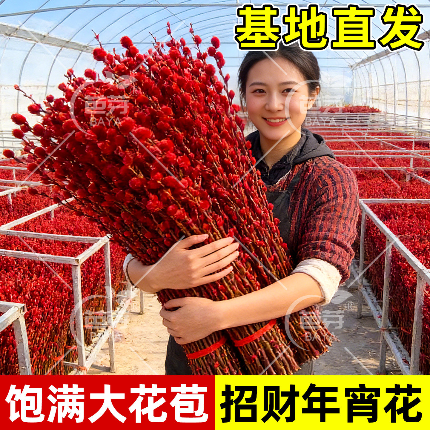 银柳鲜枝真花客厅摆件带花苞红色干花室内盆栽年宵花卉水培植物,鲜花速递/花卉仿真/绿植园艺,时令草本花卉,淘宝优惠券,粉丝福利购,淘宝优惠卷