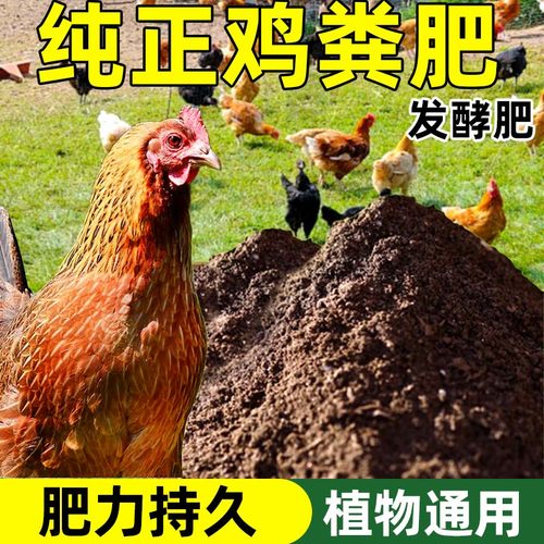 家用种菜鸡粪肥羊粪肥通用