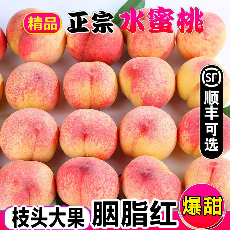 【顺丰包邮】水蜜桃新鲜现摘苹果桃子新鲜水果毛桃脆桃整箱包邮