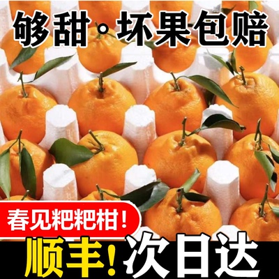 顺丰包邮四川耙耙柑橘子新鲜10斤桔子水果当季丑橘整箱礼盒粑粑柑