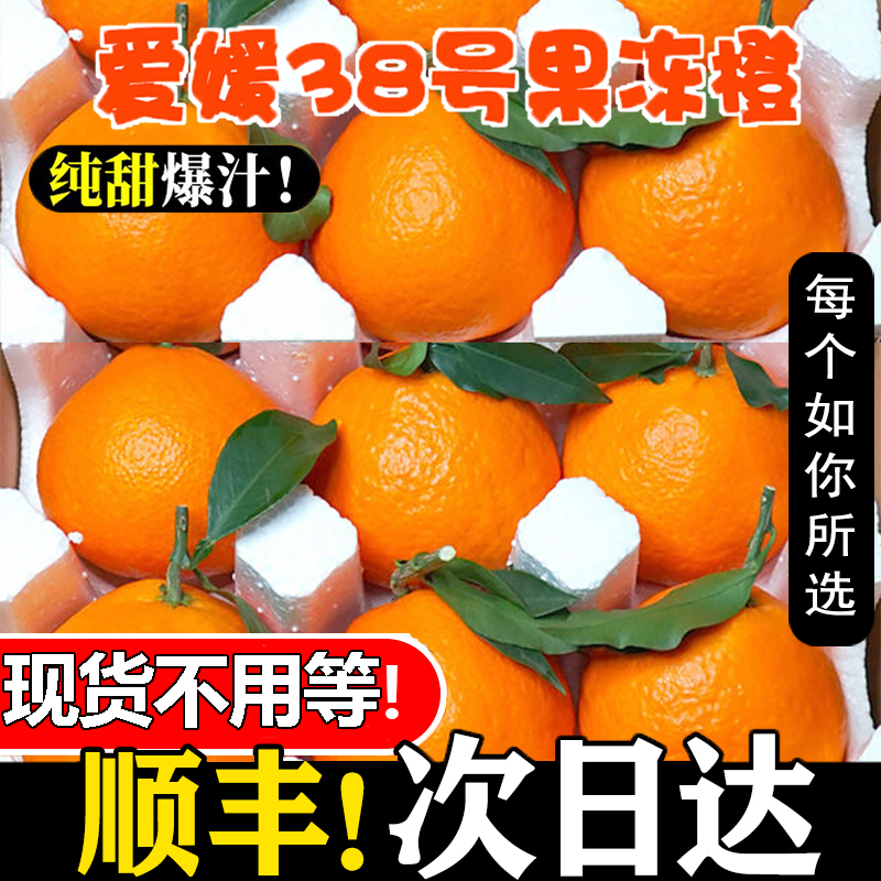 爱媛果冻橙9斤四川新鲜应季