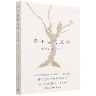 搜书正版看不见的文学 文学如何理论 杨宁 著 哔哩哔哩B站知名up主文学理论 据B站课程《杨宁老师的文学启示课》课程讲稿