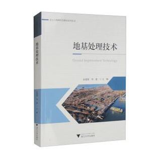 搜书正版地基处理技术 俞建霖,周建 浙江大学出版社 教材类书籍