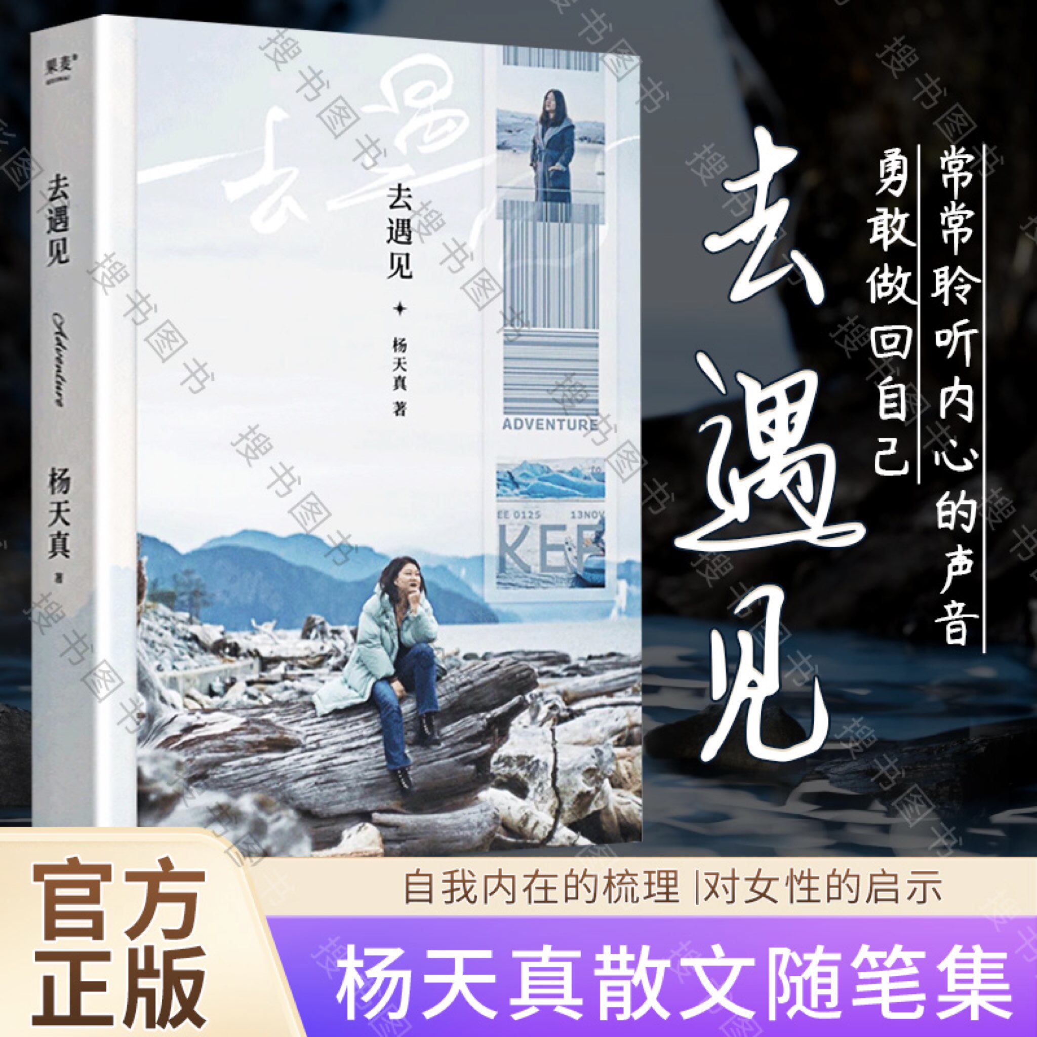 正版去遇见 杨天真2024第 一本散文随笔集 对自我内在的梳理也是对女性的启示常常聆听内心的声音勇敢做回自己 果麦文化