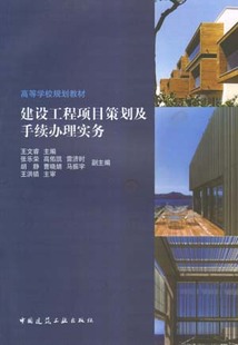 建设工程项目策划及手续办理实务 高等学校规划教材 建设项目及项目管理的基本知识 建设工程项目开工前工作实务 中国建筑工业出版